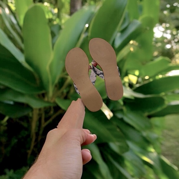 Coach Silver Sandals with Decorative bow Coach Sable Thong Sandals Women’s 5 B - Picture 10 of 11